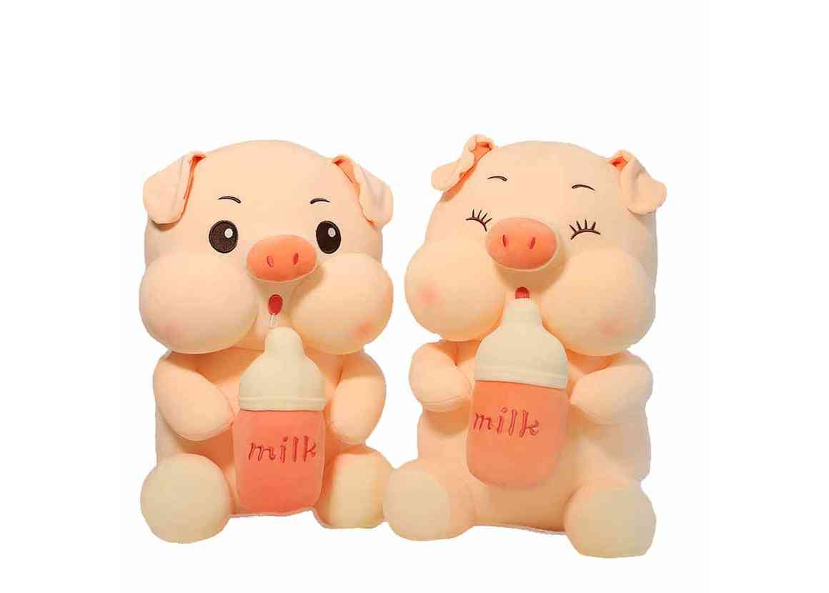 aninfant_12_10_2022